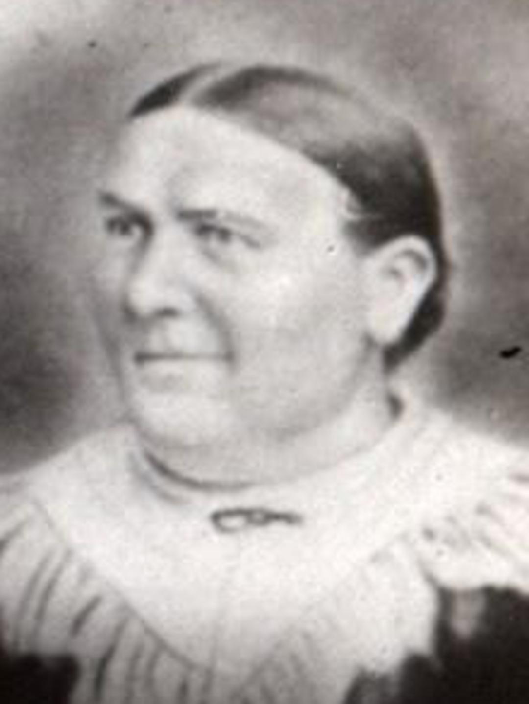 Hannah Holroyd (1850 - 1909) Profile